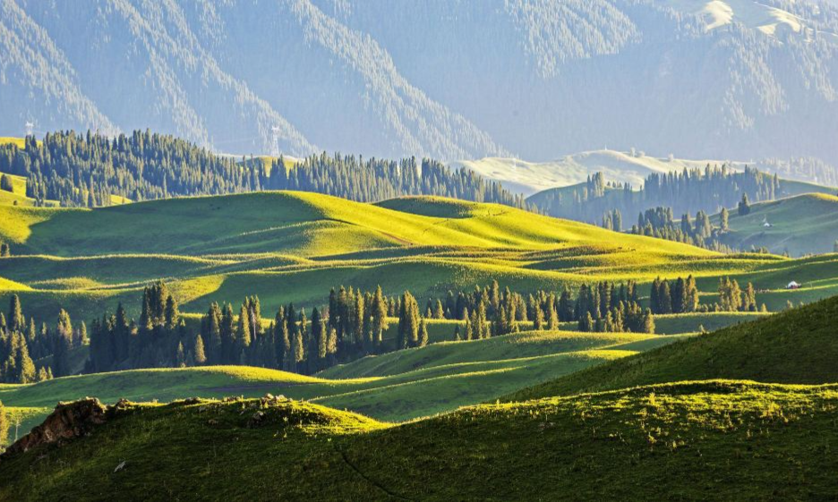 1a4589b11c05e7e337db066968fda508_batcheditor_fotor (1)