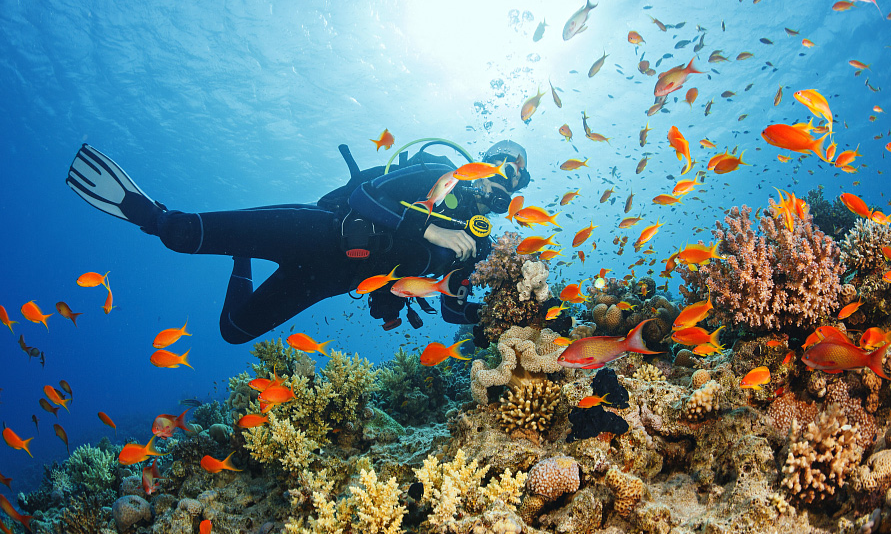 5d5f4fb9498ebcb1177c5d90_batcheditor_fotor