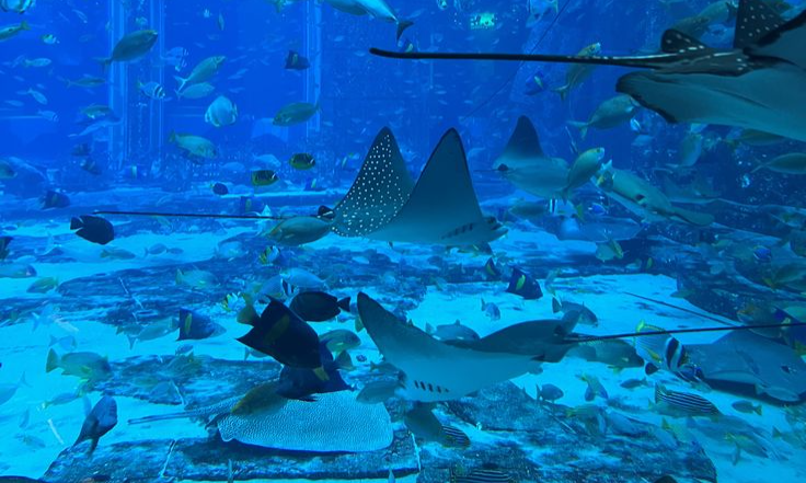 834e75b5156317fc05212b4735b1e893_batcheditor_fotor