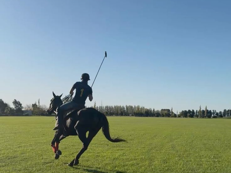 Master the Game of Kings: Polo Excellence