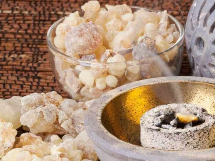 Claim the Sacred Resin of the Ancient Incense Route