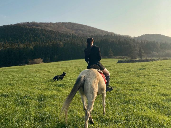 Command the Saddle at a Private Korean Equestrian Estate