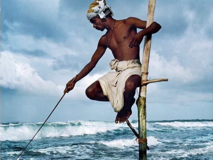 Confront the Oceanic Precision of the Sri Lankan Coast
