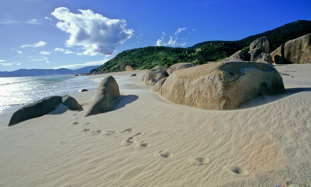 e4037bb78251e7fddc9d0f55178eb4e7_batcheditor_fotor