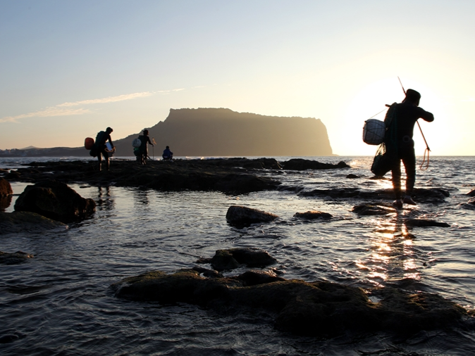 Meet the Last Free-Diving Women of Jeju’s Shores