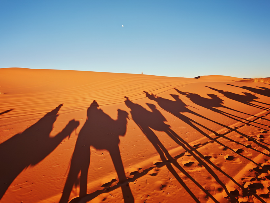 Traverse the Silent Dunes of Oman by Private Caravan