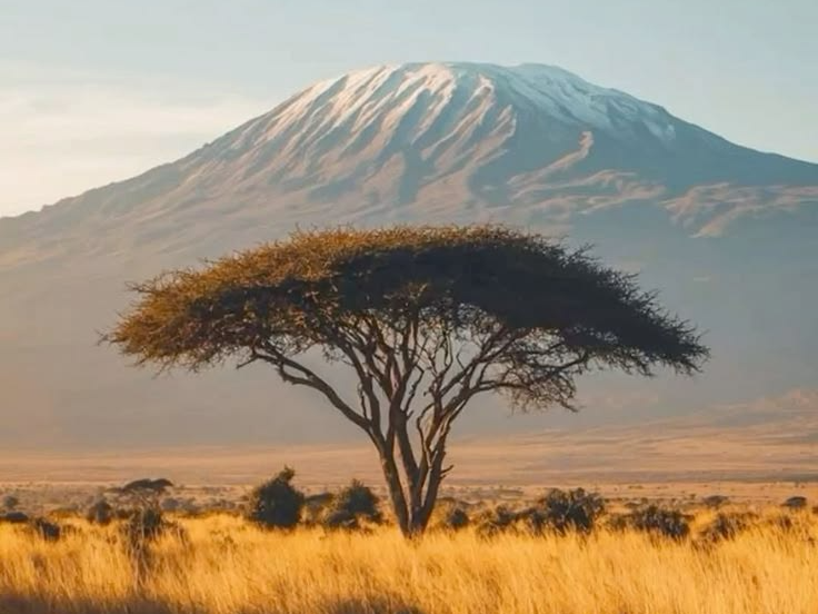 Witness the Majesty of Mount Kilimanjaro