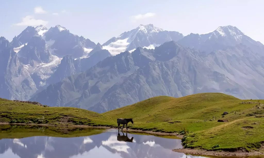A lone horse walking along the grassy shoreline of a tranquil alpine lake, perfectly reflecting the dramatic snow-capped peaks of Mount Kazbegi in Georgia during a luxury private mountain tour with Lux Orient.