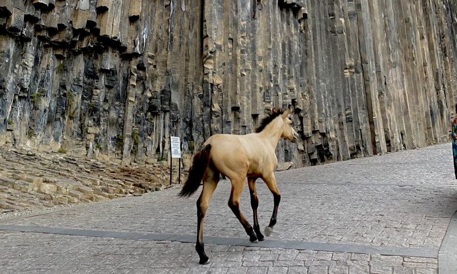 A light brown horse trotting down a cobblestone road path next to the towering vertical basalt rock columns of the Symphony of Stones in Armenia during a luxury private tour with Lux Orient.