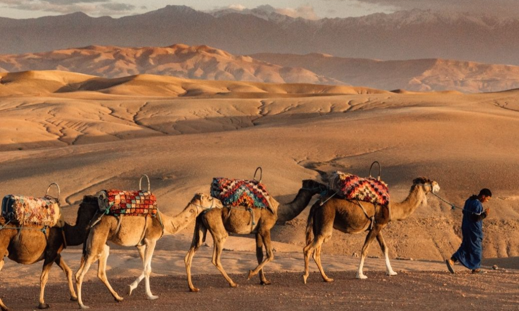 Tunisia