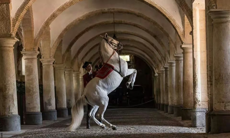 Andalusia Journey