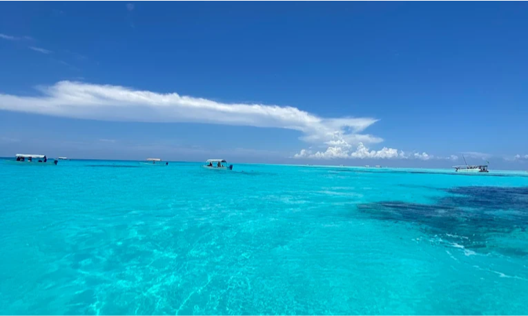 blue-water-of-muyuni-beach-zanzibar-lux-orient