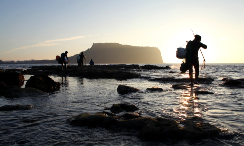 The authentic stone houses, scenic coastal harbor, and volcanic shoreline of Hado Fishing Village on Jeju Island, South Korea, during a luxury private cultural heritage tour with Lux Orient.