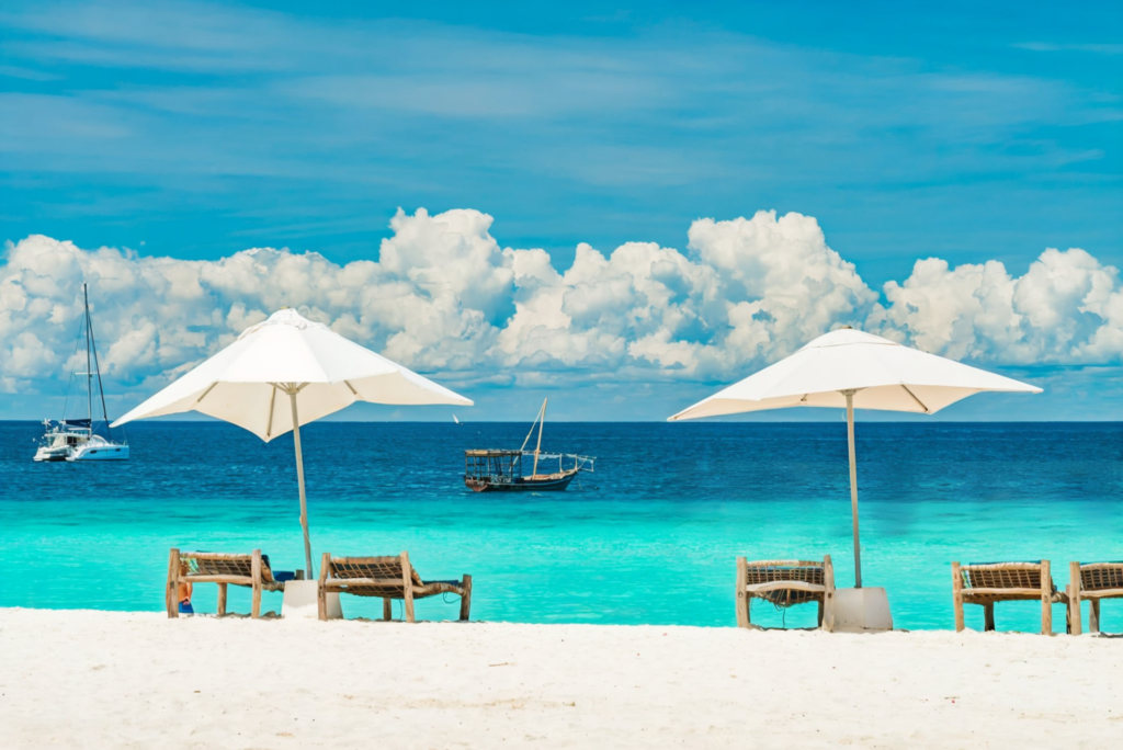 istockphoto-1366664308-2048x2048-fotor-2026063016172