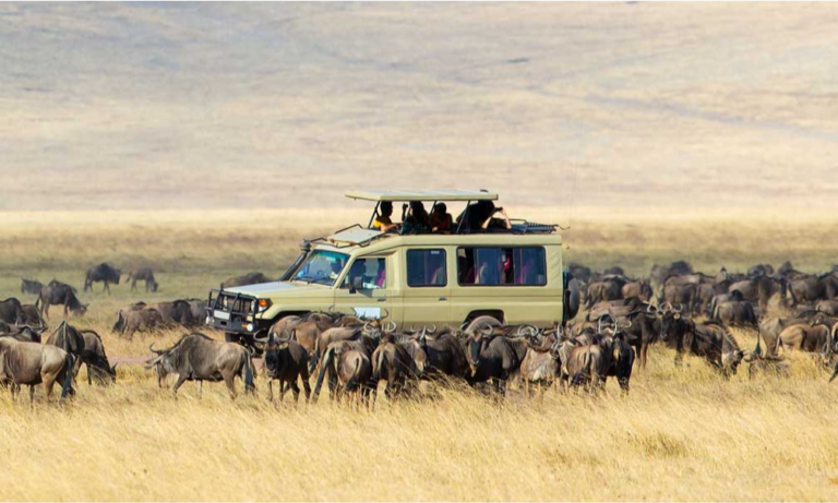 jeep-safari-serengeti-national-park-tanzania-lux-orient