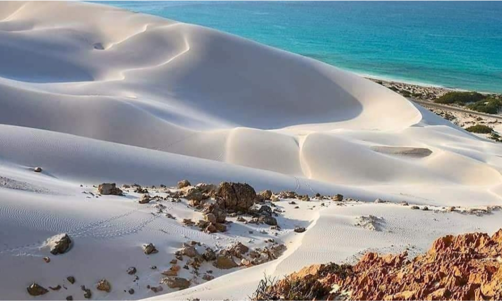The vast, smooth golden sands and calm turquoise waters of Delisha Beach meeting a natural freshwater lagoon on Socotra Island, Yemen, during an exclusive private luxury tour with Lux Orient.