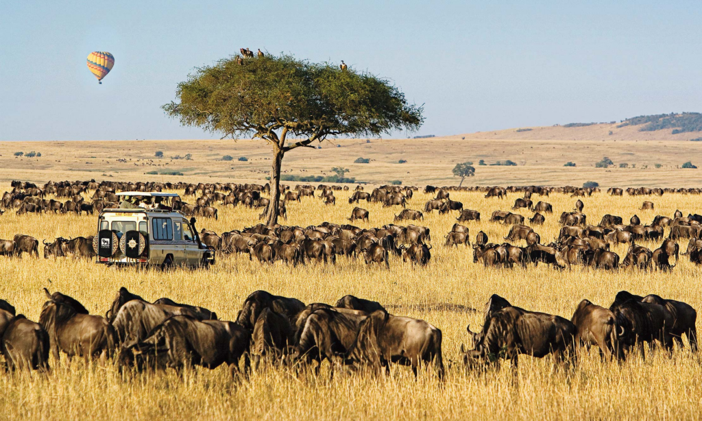 maasai-mara-great-migration-tanzania