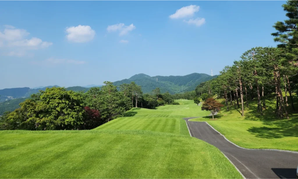 The sweeping, vibrant green fairways and meticulously sculpted sand traps of the coastal Haevichi Country Club in Jeju Island, South Korea, overlooking the ocean during a premium private luxury sports tour with Lux Orient.