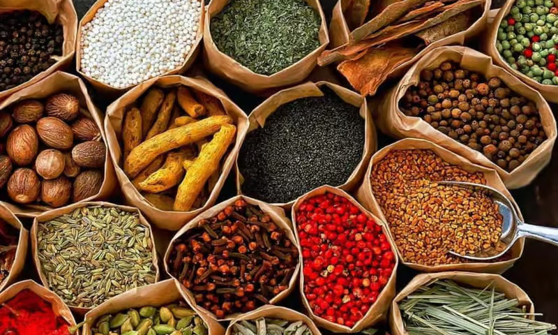 private-exploration-kizimbani-spice-farm-zanzibar-lux-orient