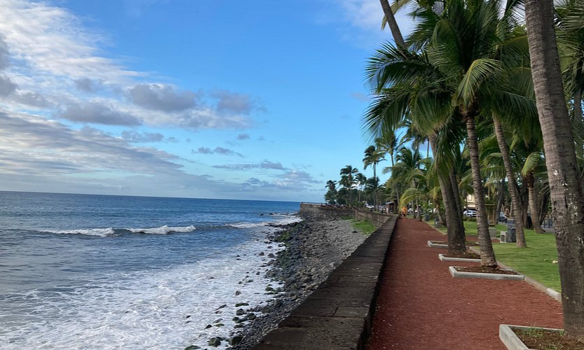 The historic row of old iron cannons pointing towards the ocean waves along the coastal promenade of Le Barachois in Saint-Denis, La Réunion, during an exclusive private luxury tour with Lux Orient.