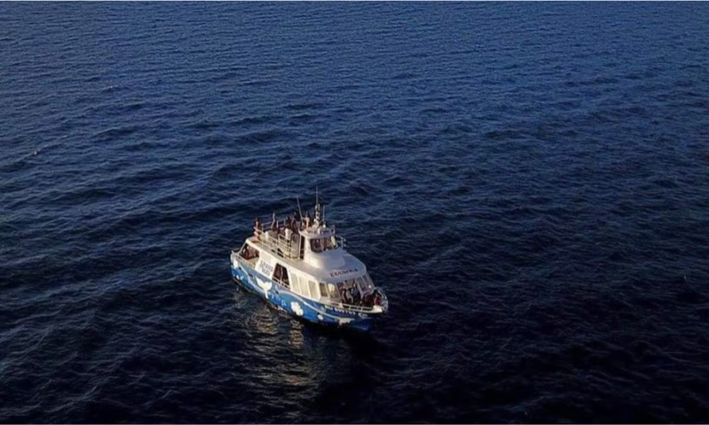 A majestic humpback whale breaching out of the deep blue Indian Ocean next to a luxury private yacht charter on a scenic marine safari cruise in La Réunion, during an exclusive VIP tour with Lux Orient.