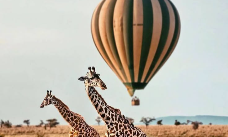 savannah-air-balloon-tanzania-lux-orient