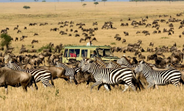 sayari-camp-game-drive-migration-serengeti-safari-tanzania-lux-orient