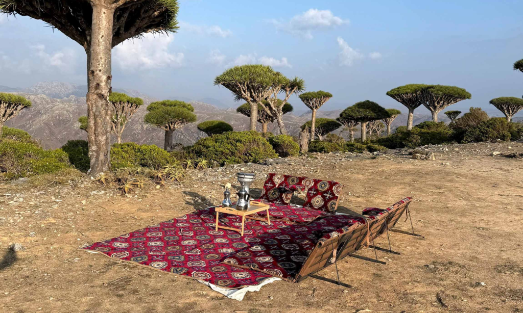 A premium private luxury glamping tent lit up at twilight beneath the unique umbrella-shaped canopies of the Dragon's Blood trees in Fermihin Forest on Socotra Island, Yemen, during a VIP safari with Lux Orient.