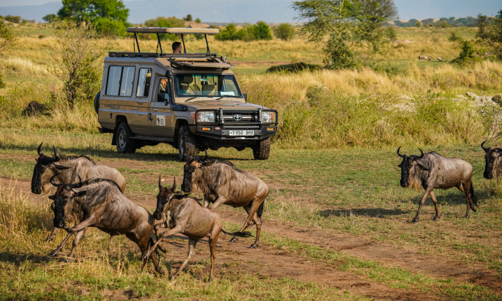 serengeti-private-game-drive-river-crossing-migration-tanzania-lux-orient
