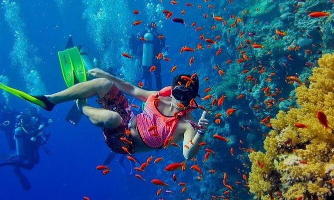 snorkeling-at-mnemba-atoll-marine-reserve-zanzibar-lux-orient