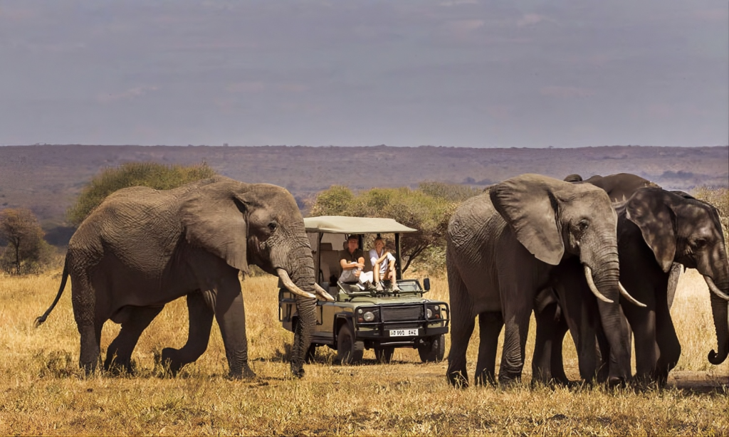 tarangire-national-park-private-jeep-safari-arusha-tanzania-lux-orient
