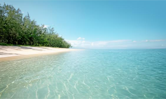 The pristine white sand shoreline and calm turquoise lagoon waters of L'Ermitage Beach lined with casuarina trees in Saint-Gilles-les-Bains, La Réunion, during an exclusive private luxury vacation with Lux Orient.