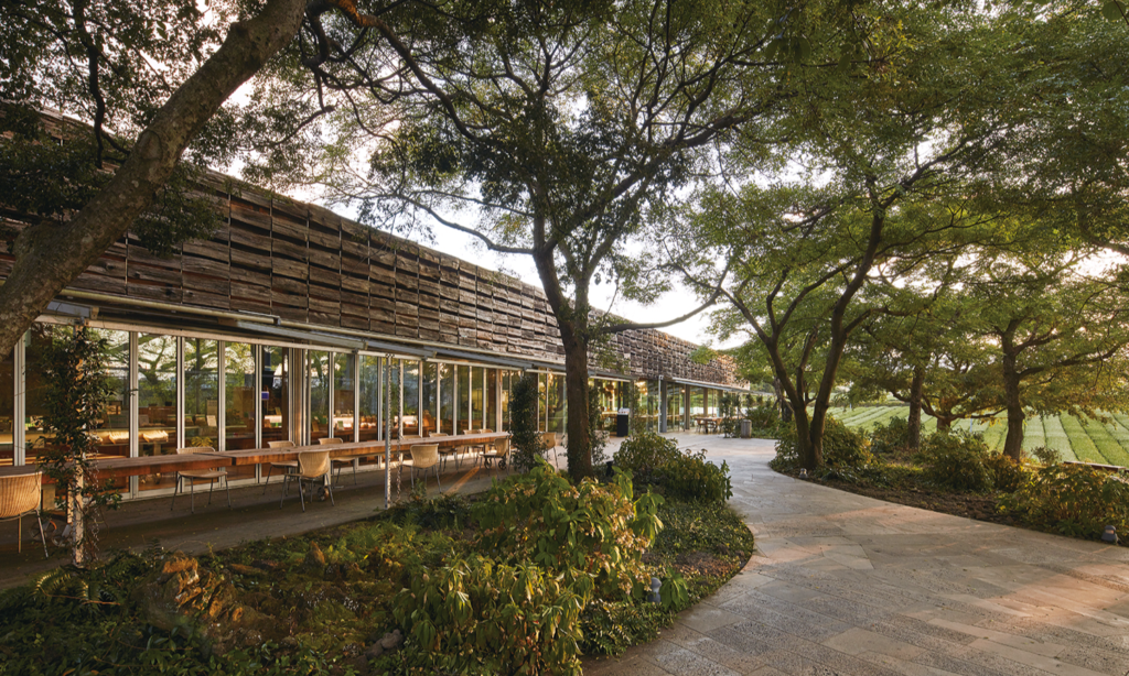 The sleek, modern architecture of the Osulloc Tea Museum building overlooking vast, neatly rows of vibrant green tea fields in Jeju Island, South Korea, during a luxury private tour with Lux Orient.