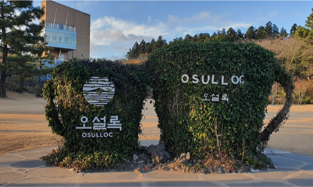 The sleek, modern architecture of the Osulloc Tea Museum building overlooking vast, neatly rows of vibrant green tea fields in Jeju Island, South Korea, during a luxury private tour with Lux Orient.