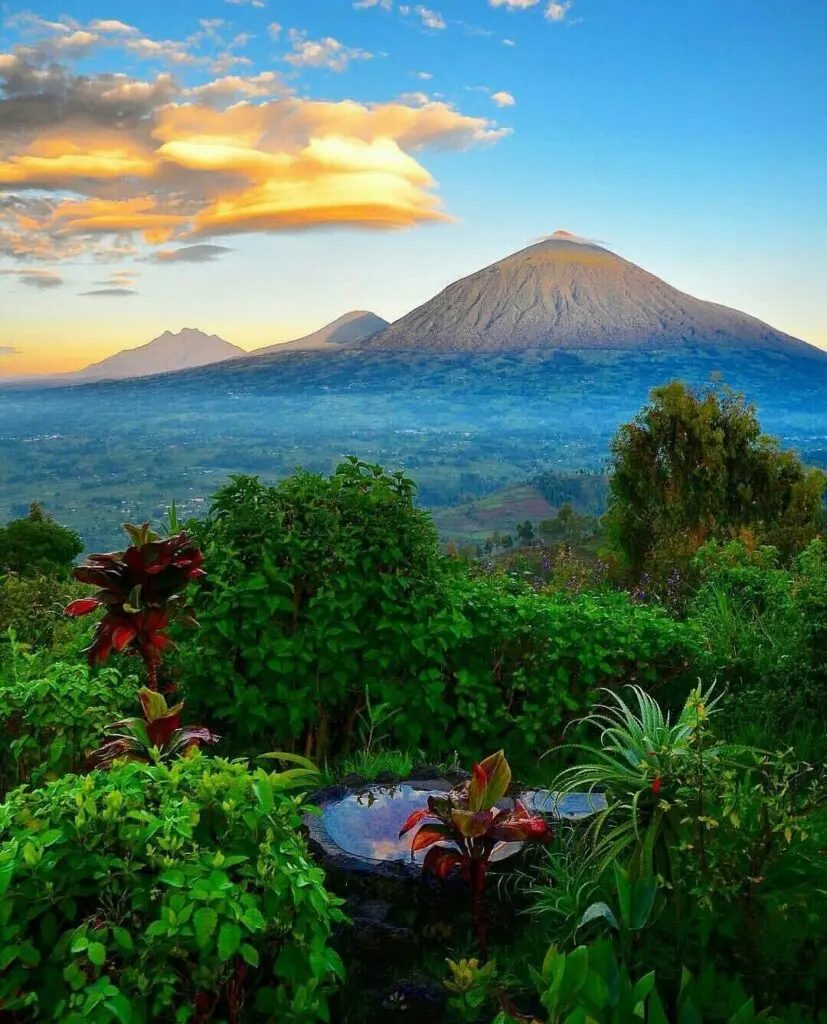 Trek to the Mountain Gorillas of the Volcanoes