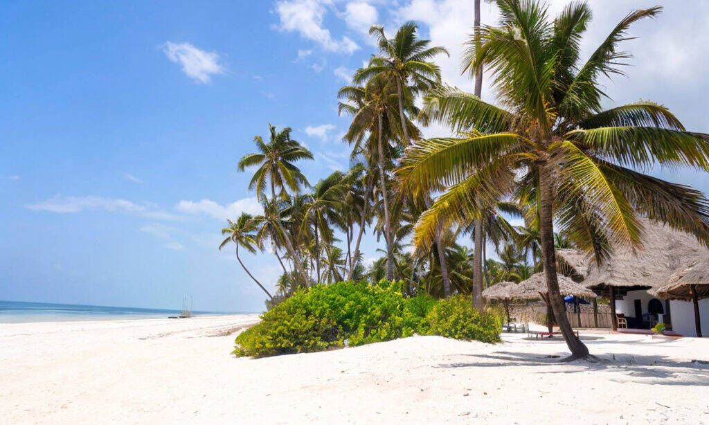 beach-in-paje-zanzibar-tanzania-FXD0BA (1)_batcheditor_fotor