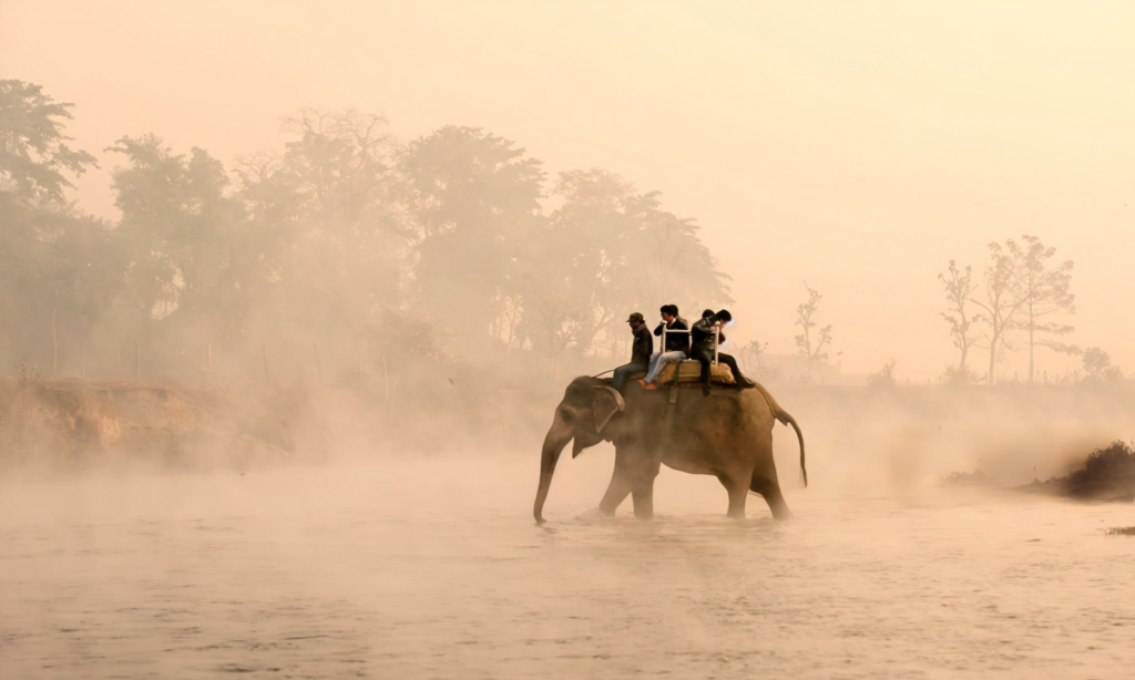 gettyimages-458975359-2048x2048_batcheditor_fotor