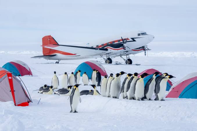 Camp on the Ice Among the Emperor Penguins