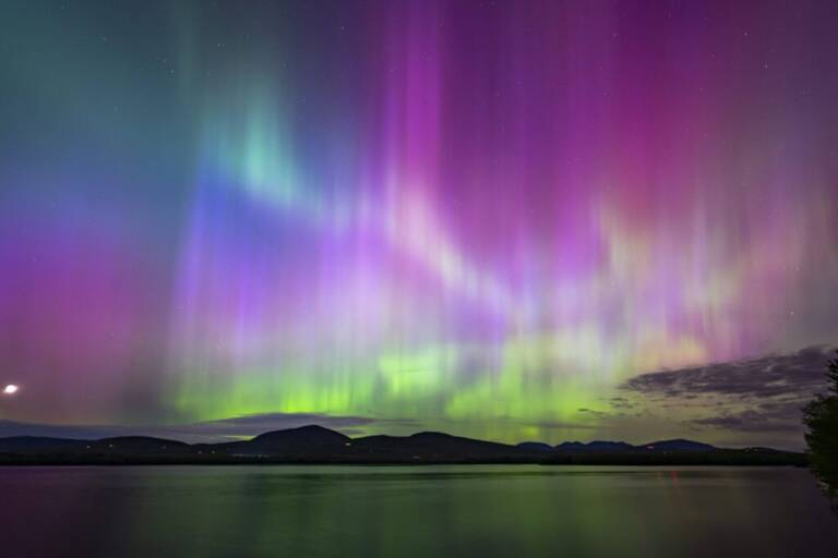Aurora & the Arctic Silence