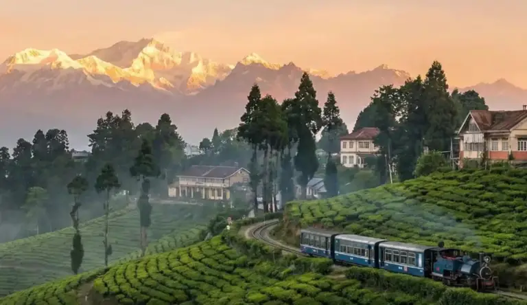 Tea, Rails & the Kanchenjunga