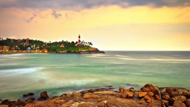 Backwaters, Wildlife & Beach
