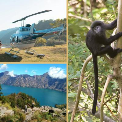 Buttons packages (13)