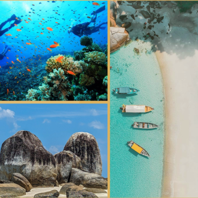 Buttons packages (2)