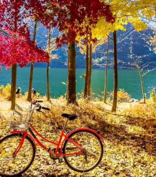 Lux-Orient-Travels- South Korea