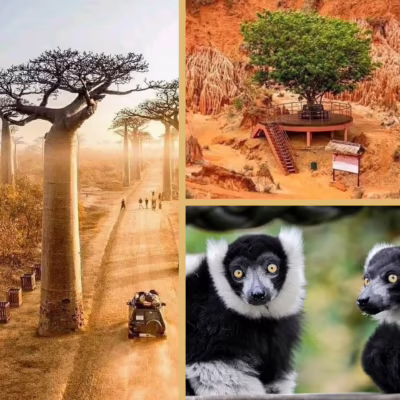 Lux Orient Travel- Travel Madagascar